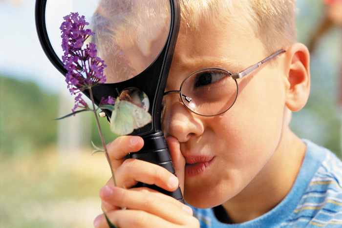 Boy Looking at Butterfly Through Magnifying Glass