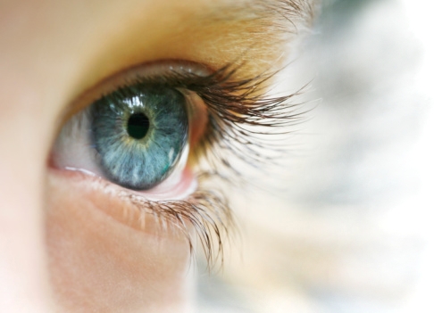 Можно ли восстановить утраченное зрение?