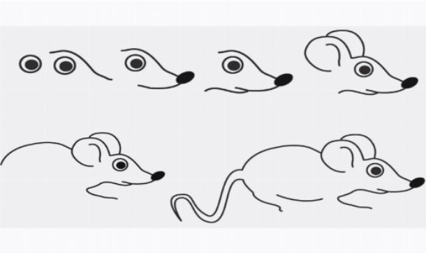 Мастер-класс «Как нарисовать мышку